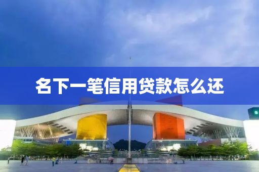 名下一笔信用贷款怎么还