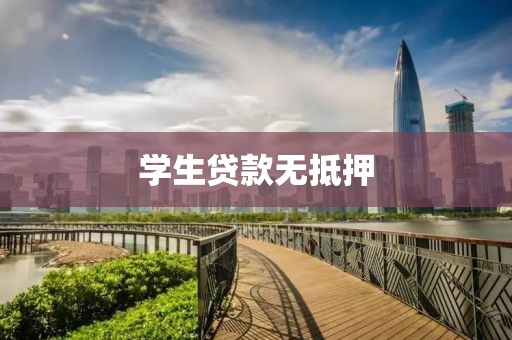 学生贷款无抵押