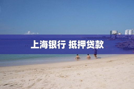 上海银行 抵押贷款