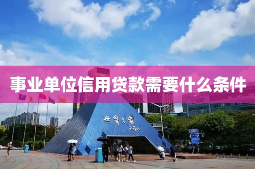 事业单位信用贷款需要什么条件