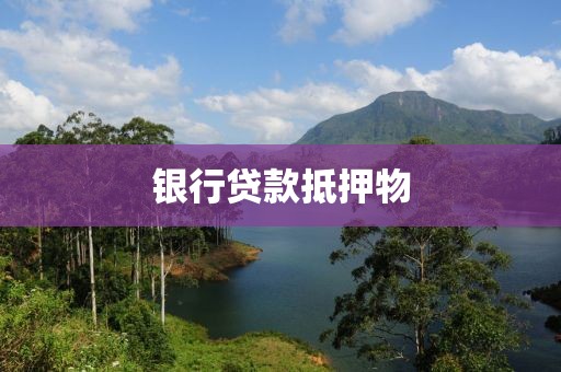银行贷款抵押物