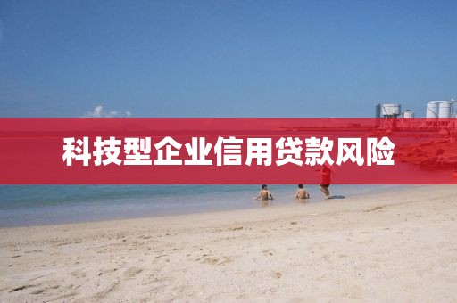 科技型企业信用贷款风险
