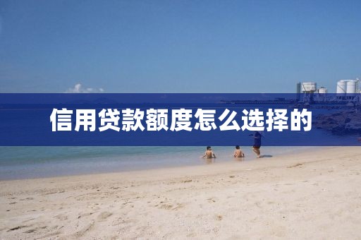 信用贷款额度怎么选择的