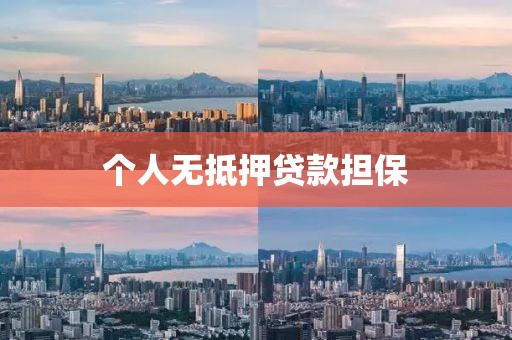个人无抵押贷款担保