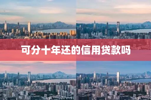 可分十年还的信用贷款吗