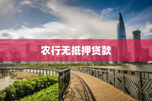 农行无抵押贷款