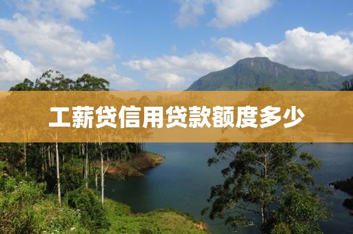 工薪贷信用贷款额度多少