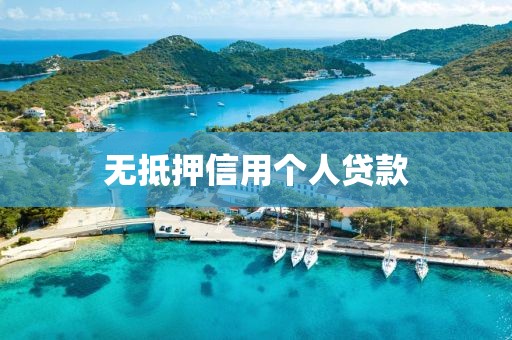 无抵押信用个人贷款