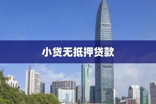 小贷无抵押贷款