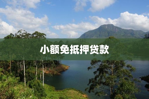 小额免抵押贷款