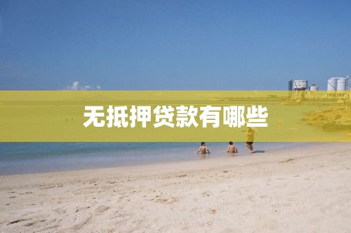 无抵押贷款有哪些