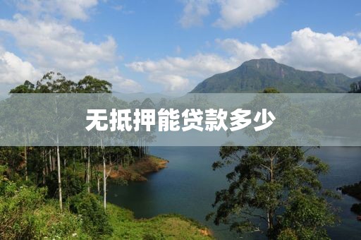 无抵押能贷款多少