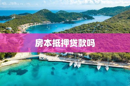 房本抵押贷款吗