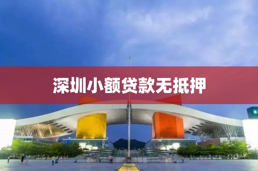 深圳小额贷款无抵押