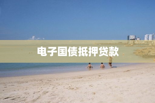 电子国债抵押贷款