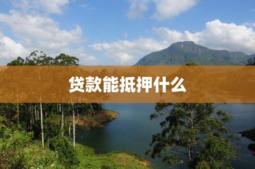 贷款能抵押什么
