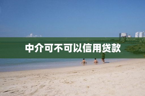 中介可不可以信用贷款