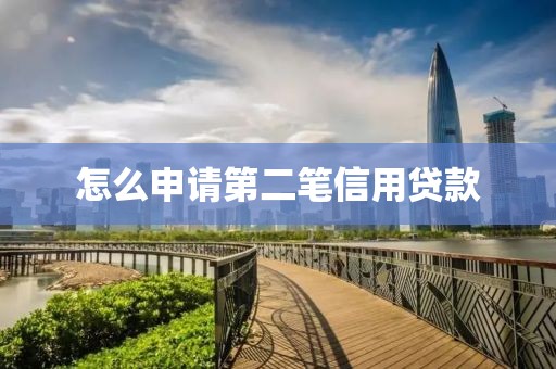怎么申请第二笔信用贷款