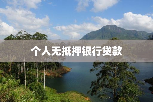 个人无抵押银行贷款