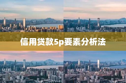 信用贷款5p要素分析法
