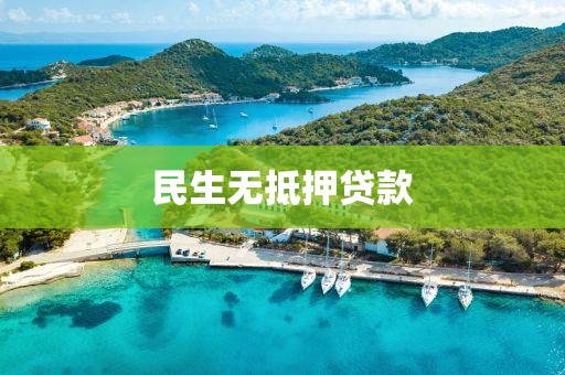 民生无抵押贷款
