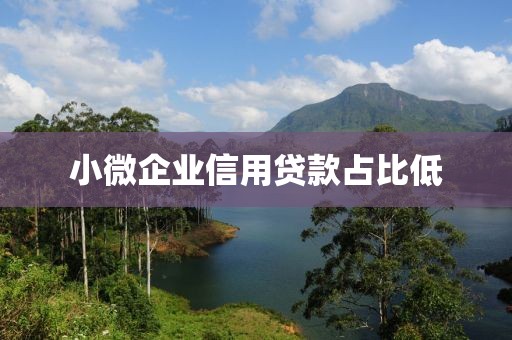 小微企业信用贷款占比低
