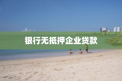 银行无抵押企业贷款