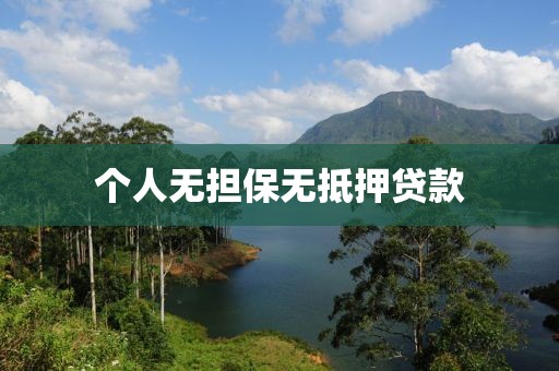 个人无担保无抵押贷款