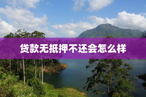 贷款无抵押不还会怎么样