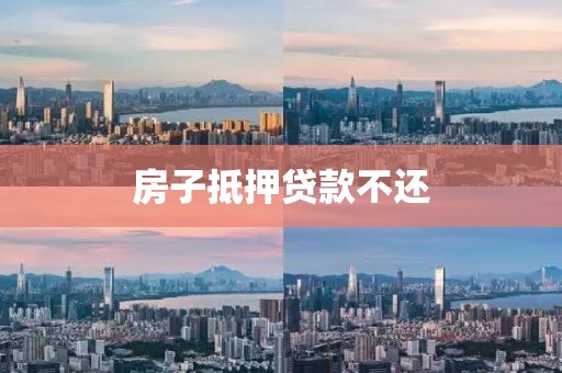 房子抵押贷款不还