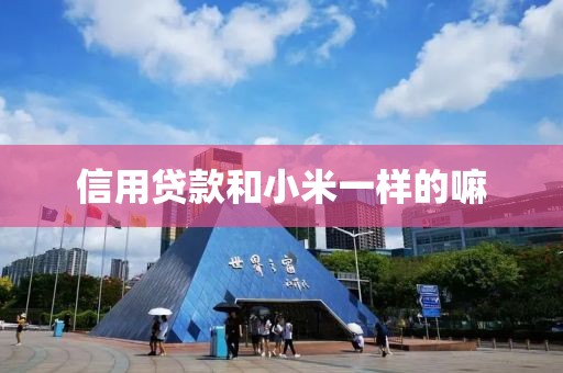 信用贷款和小米一样的嘛