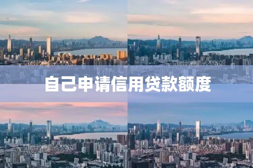 自己申请信用贷款额度