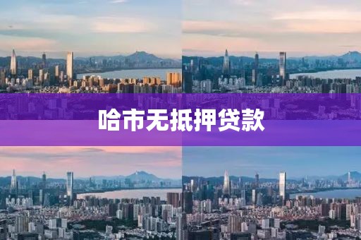 哈市无抵押贷款