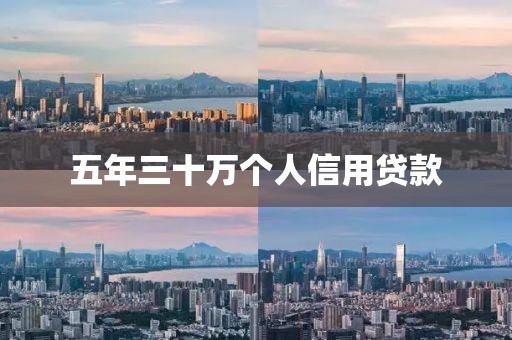 五年三十万个人信用贷款