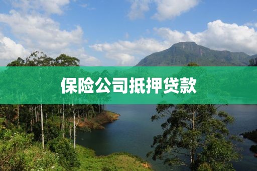 保险公司抵押贷款