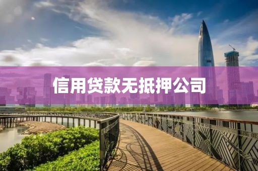 信用贷款无抵押公司