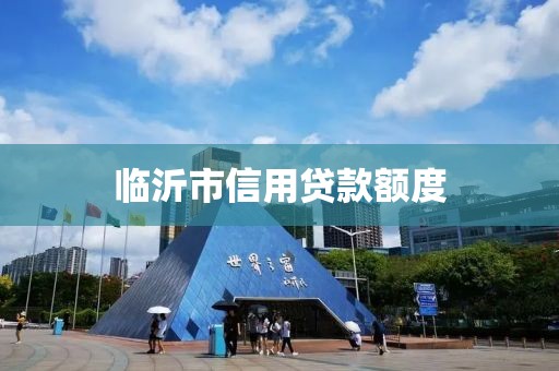 临沂市信用贷款额度