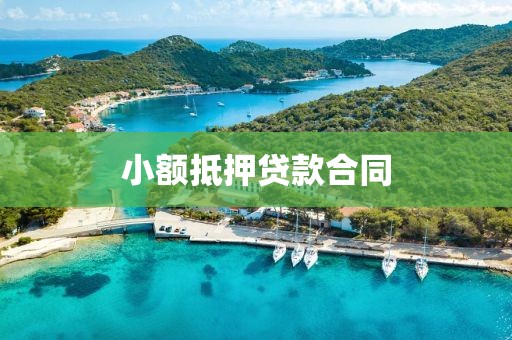 小额抵押贷款合同