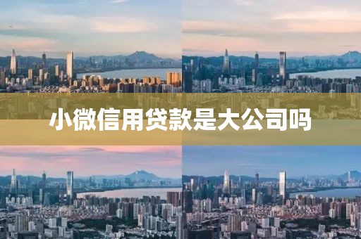 小微信用贷款是大公司吗