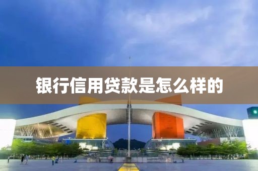 银行信用贷款是怎么样的