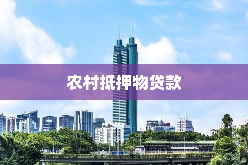 农村抵押物贷款