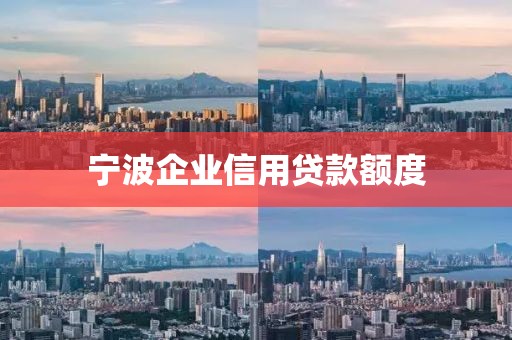 宁波企业信用贷款额度
