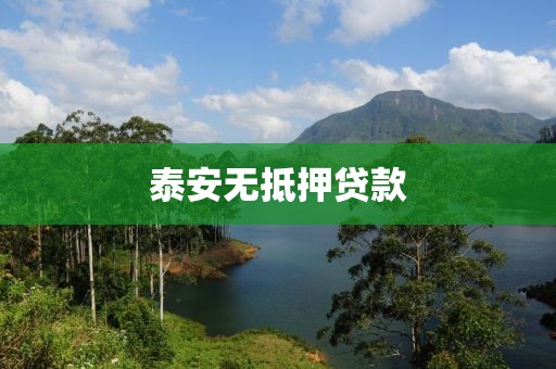 泰安无抵押贷款