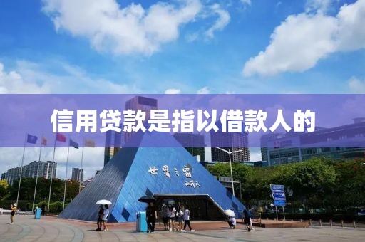 信用贷款是指以借款人的