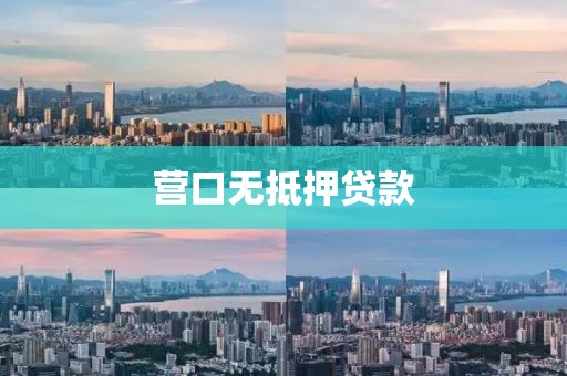 营口无抵押贷款