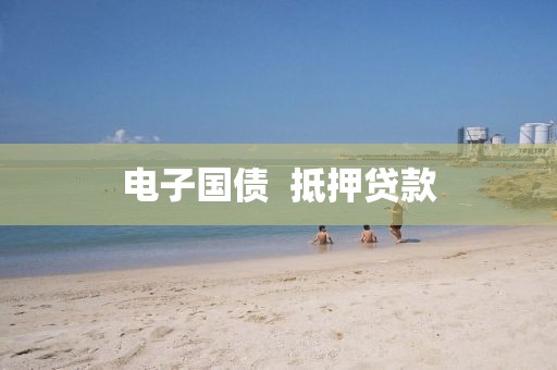 电子国债  抵押贷款