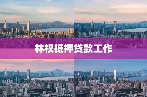 林权抵押贷款工作