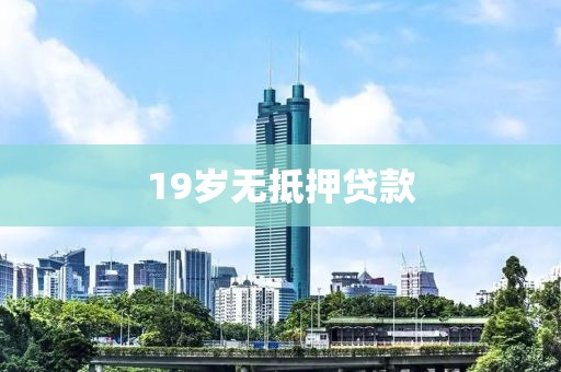 19岁无抵押贷款