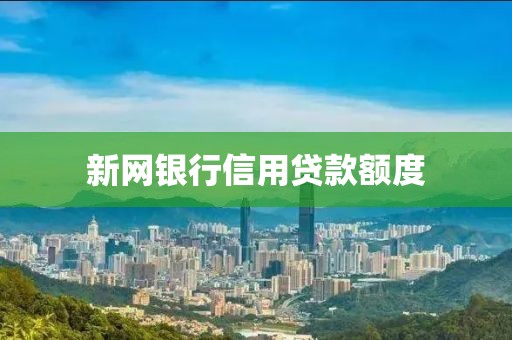 新网银行信用贷款额度