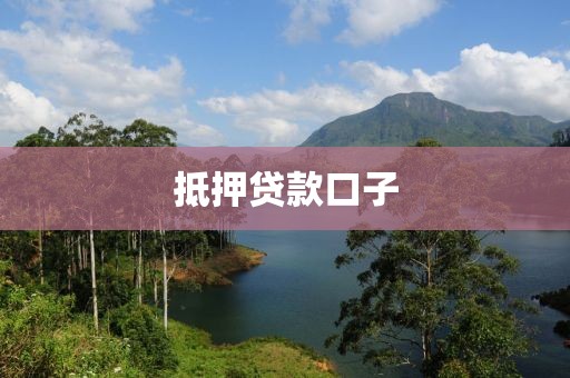 抵押贷款口子